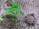 June 2006 029