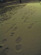 Picture 040