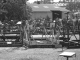 nwind20060802 051