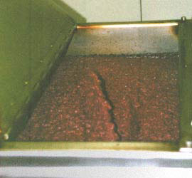 pureed olives