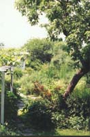 jardin1.jpg