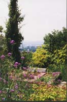 jardin2.jpg